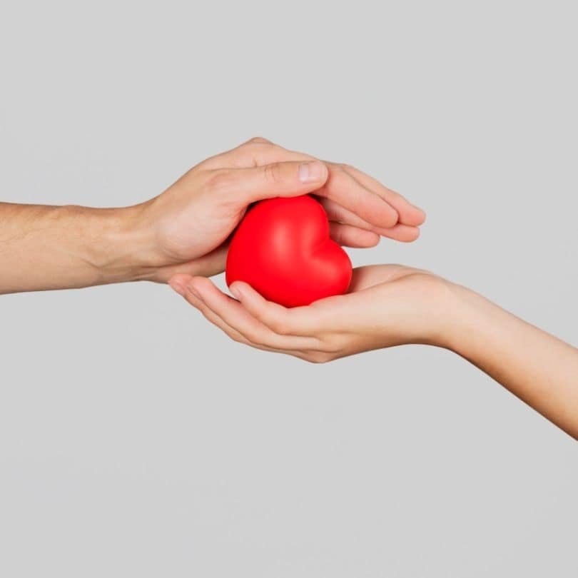 Zwei Hände halten ein rotes Herz schützend – symbolisiert Sicherheit, Vertrauen und langfristige Betreuung bei Versicherungen.